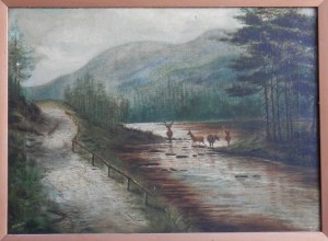 Forest Road by H D Hatch