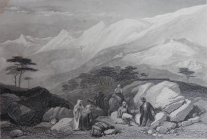 The Cedars of Lebanon Harding/Finden