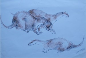 Otters at Play drawing with wash signed