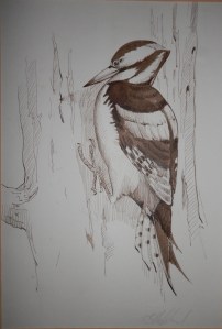 Woodpecker pen and ink signed