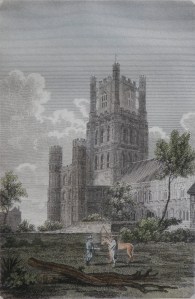 Ely Cathedral by W. Angus coloured plate